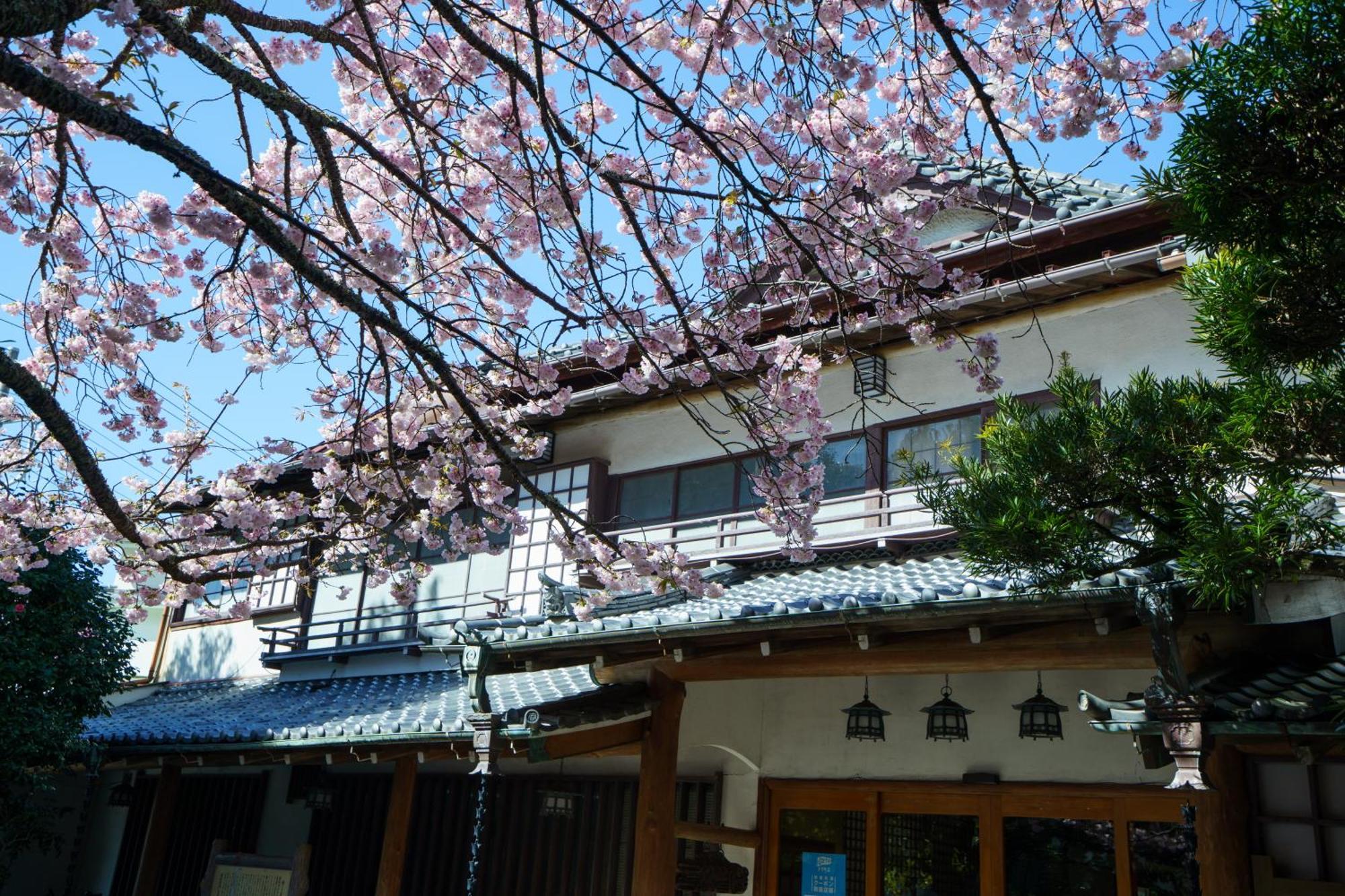 Sakahijiri Gyokushoen Идзу Экстерьер фото